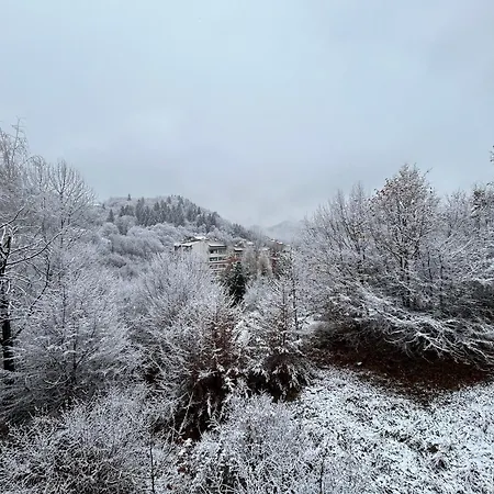 New & Stylish Axel With Mountain Views