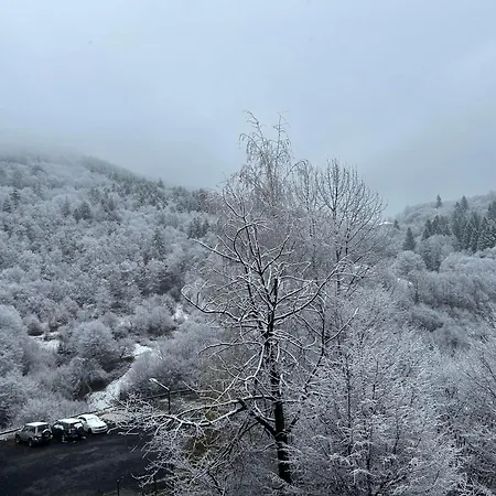 New & Stylish Axel With Mountain Views Apartment