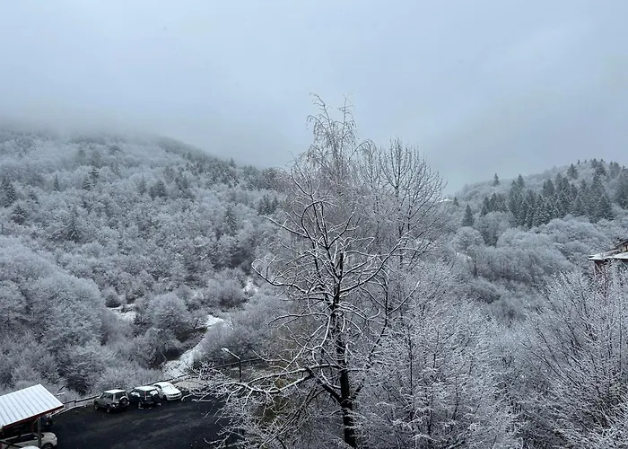 New & Stylish Axel With Mountain Views Apartment
